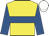 YELLOW, ROYAL BLUE hoop and sleeves, WHITE cap