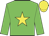 Big-green body, yellow star, big-green arms, yellow cap