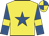yellow with royal blue star, royal blue sleeves with yellow armlets, yellow cap with royal blue quarters
