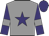 Grey, purple star, purple sleeves, grey armlets, purple cap