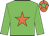 Big-green body, orange star, big-green arms, orange cap, big-green star