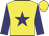 yellow, navy star, navy sleeves, yellow cap