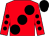 Red body, black large spots, red arms, black spots, black cap