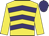 Yellow & purple chevrons, yellow sleeves, purple cap