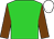 Lime green, chocolate sleeves, white cap