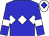 Blue body, white diamond hoop, blue arms, white armlets, white cap, blue diamond