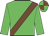 Lime green, chocolate sash, quartered cap
