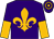 Purple, old gold fleur de lys, halved sleeves, hooped cap