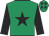 Emerald green, black star, sleeves and stars on cap