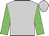 Silver, green sleeves, silver cap
