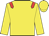 Yellow body, red epaulettes, yellow arms, yellow cap