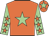 Orange, light green star, light green sleeves, orange stars, orange cap, light green star