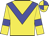 Yellow body, big-blue chevron, yellow arms, big-blue armlets, yellow cap, big-blue quartered