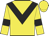 Yellow body, black chevron, yellow arms, black armlets, yellow cap