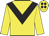 Yellow, black chevron and spots on cap