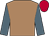 Buff, saxe blue sleeves, scarlet cap