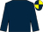 DARK BLUE, DARK BLUE and YELLOW quartered cap