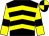 Black, yellow chevrons, yellow sleeves, black armlets, black and yellow quartered cap