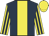 Dark blue, yellow stripe, yellow and dark blue striped sleeves, yellow cap