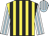Yellow and black stripes, white and light blue striped sleeves, light blue and white striped cap