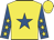 Yellow, royal blue star, royal blue sleeves, yellow stars and cap