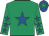 Emerald green, royal blue star, royal blue stars on sleeves, royal blue cap, emerald green star