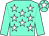 Aqua, white stars, aqua sleeves and cap, white star