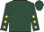 Dark green, yellow stars on sleeves, dark green cap