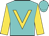 Turquoise, gold 'v' bib and sleeves, turquoise cap Turquoise, gold 'v' bib and sleeves, turquoise cap