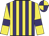 Purple and yellow stripes, yellow sleeves, purple armlets, purple and yellow quartered cap