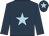 dark blue, light blue star, dark blue sleeves, Dark blue cap, light blue star dark blue, light blue star, dark blue sleeves, Dark blue cap, light blue star