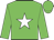 Green body, white star, green arms, green cap Green body, white star, green arms, green cap