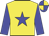 Yellow, blue star, sleeves and quartered cap Yellow, blue star, sleeves and quartered cap