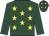 Dark green, yellow stars, dark green sleeves, yellow stars on cap