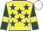 Yellow, dark green stars, dark green sleeves, yellow armlets, white cap Yellow, dark green stars, dark green sleeves, yellow armlets, white cap