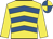 Yellow & royal blue chevrons, yellow sleeves, quartered cap Yellow & royal blue chevrons, yellow sleeves, quartered cap
