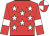 red, white stars, red sleeves, white armlets, quartered cap