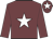 Garnet body, white star, garnet arms, garnet cap, white star