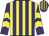 Purple and yellow stripes, chevrons on sleeves