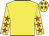 Yellow, red stars on sleeves and cap