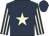 Dark blue, beige star, striped sleeves