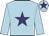 Light blue, purple star and star on cap
