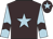 Brown body, light blue star, light blue arms, brown chevron, brown cap, light blue star