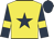 yellow, dark blue star, yellow armbands on dark blue sleeves, dark blue cap