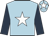 Light blue, white star, dark blue sleeves, light blue cap, white star
