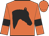 Orange, black horses head, black armbands