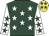 Dark green, white stars, white sleeves, dark green stars, yellow cap, dark green stars