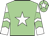 Light green body, white star, white arms, light green chevrons, light green cap, white star