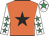 Orange, black star, white sleeves, emerald green stars, white cap, emerald green star
