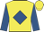 Yellow, royal blue diamond and sleeves